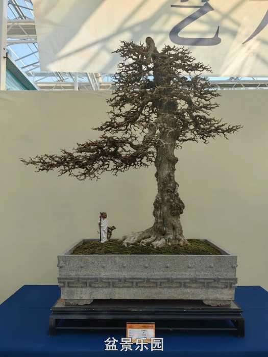 �������й��辰ó�����100������Ʒȫ��4