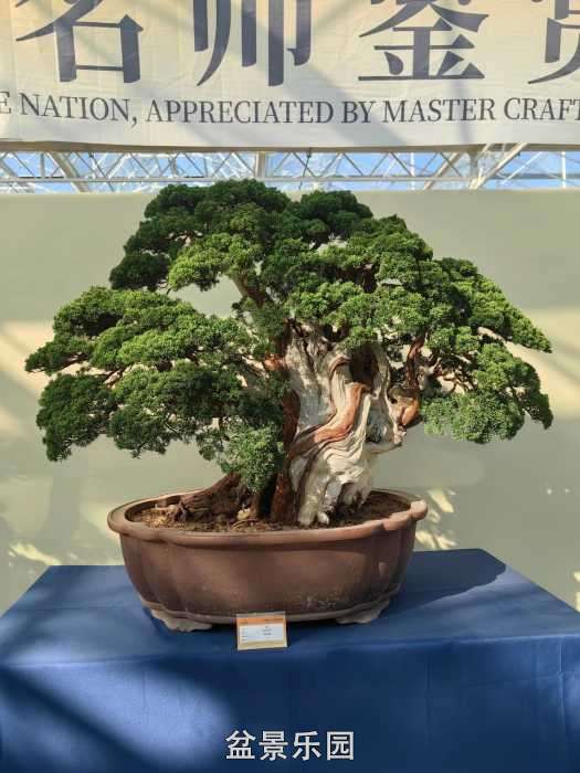 �������й��辰ó�����100������Ʒȫ��6