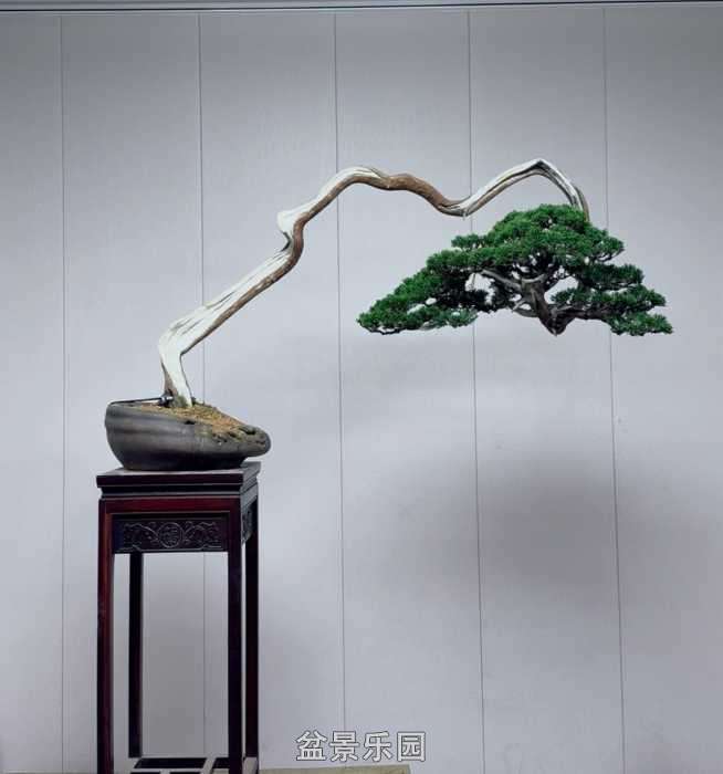 ����һ�����