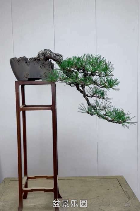 ����һ���ɽ��