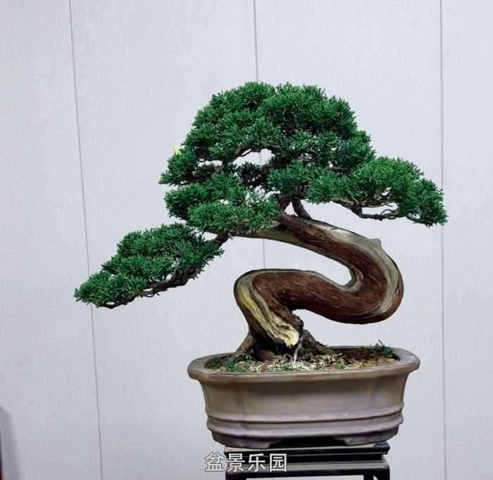 ����һ�����