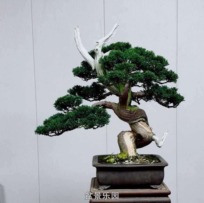 ����һ�����