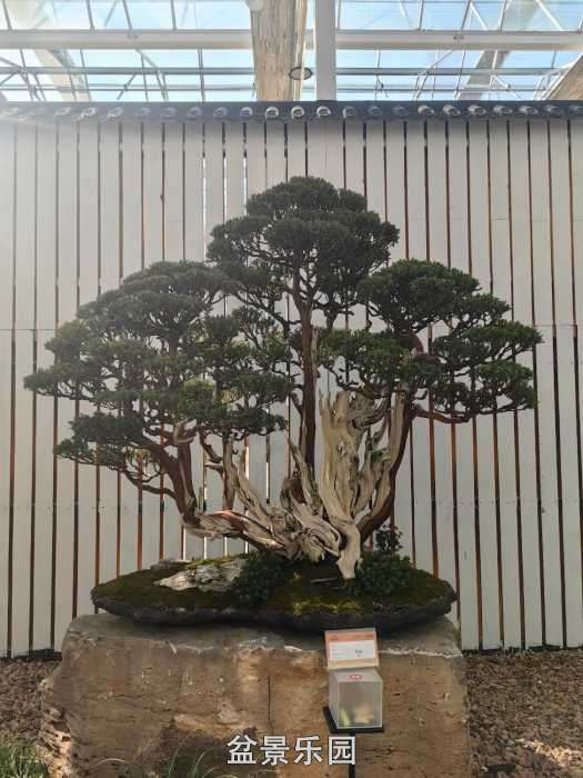 �������й��辰ó�����100������Ʒȫ��26