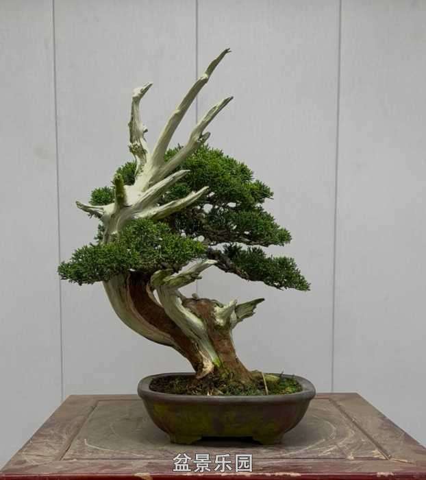 ����һ�����