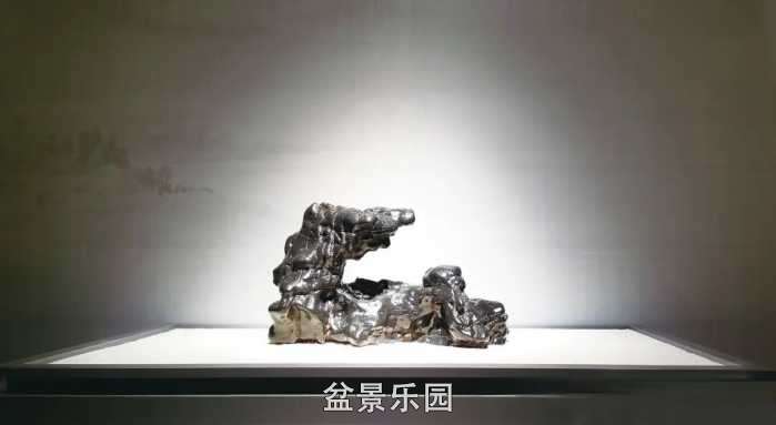mmexport51d51121b6ea34ca9877612d39d795ca_1779199884344_edit_25875495272783.jpg