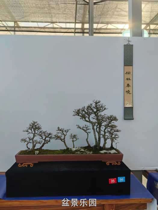 6c570f3789814bfba6586e2855814e68.jpg