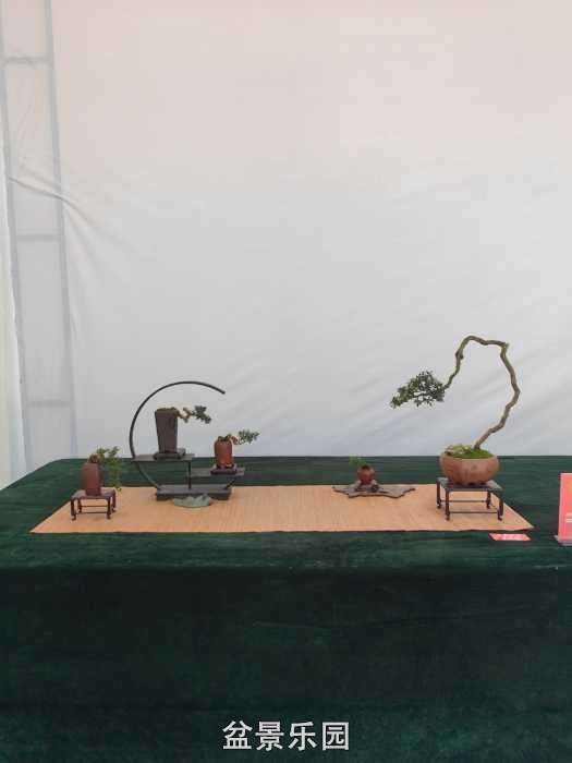 IMG_20260917_105837.jpg