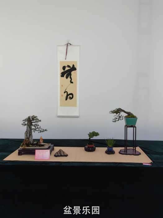 IMG_20260917_105658.jpg