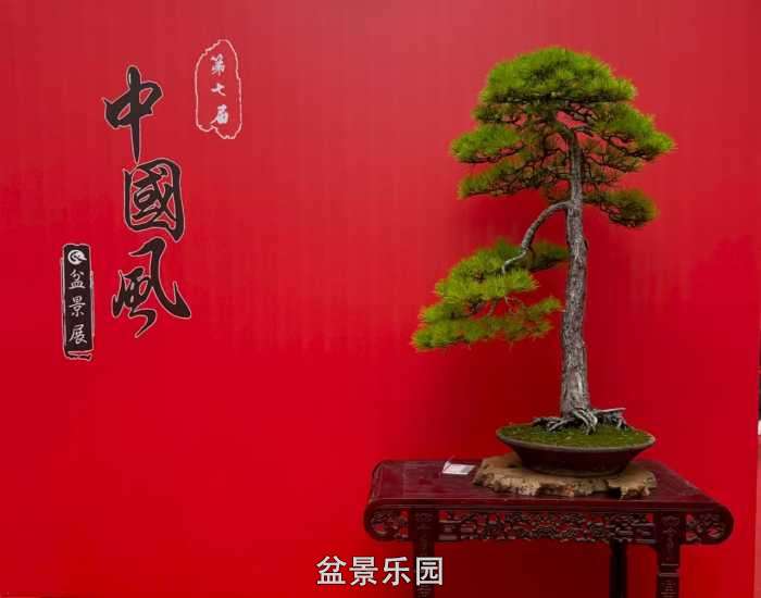 cbbb805d531247459380fff07cb28531.jpg