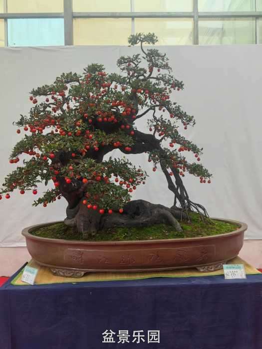 cbbb805d531247459380fff07cb28531.jpg