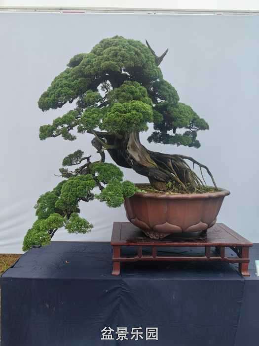 IMG_20260930_150705.jpg