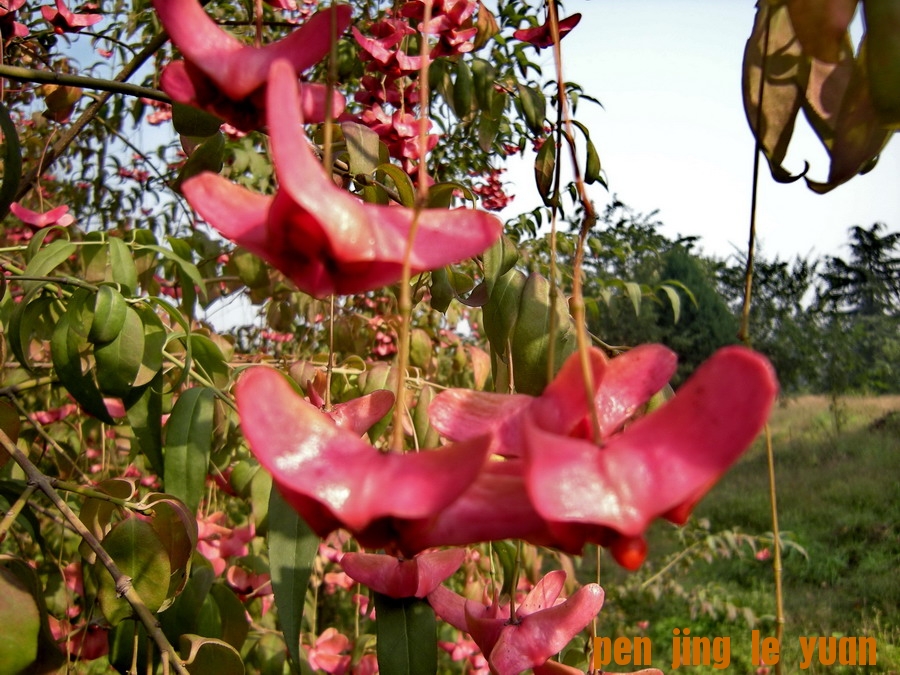 DSCN1635_缩小大小.jpg