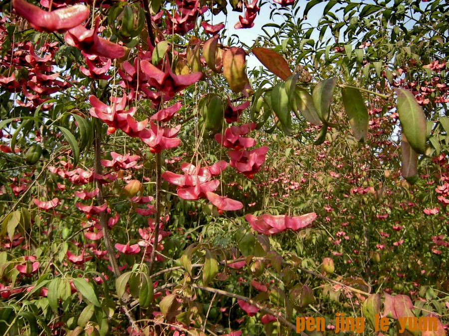 DSCN1637_缩小大小.jpg