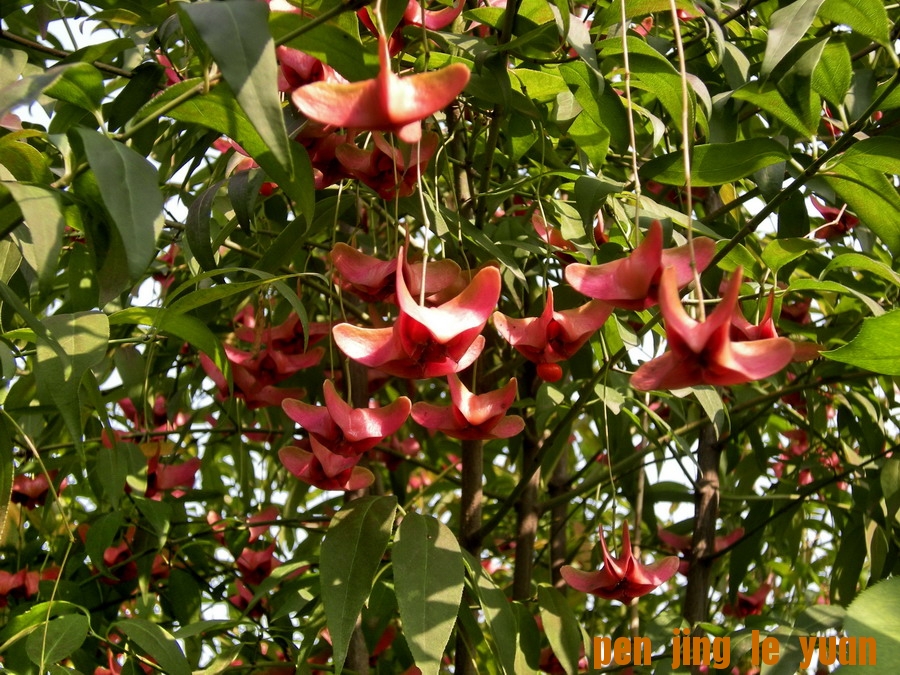 DSCN1632_缩小大小.jpg