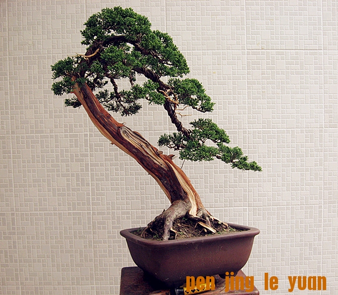 辰 015_.jpg