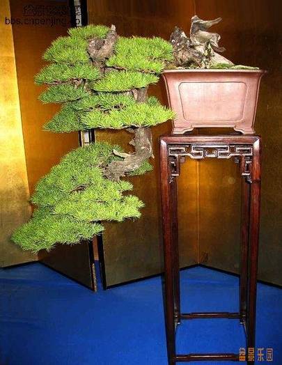 20070314_cd9fbd5b90dabeeab481RyUzSyo5RO5m.JPG