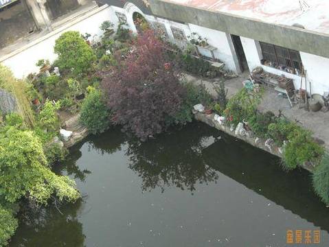 05.JPG
