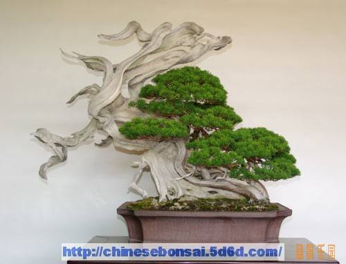 20080820_20a0f7f4d9c5e92bdf350ebLriDmtLdE.JPG
