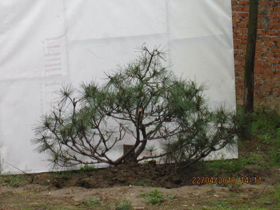 Ƭ 054.jpg