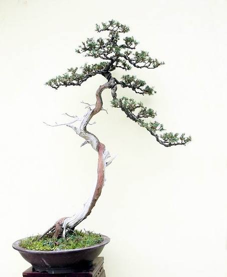 DSCN8728.JPG