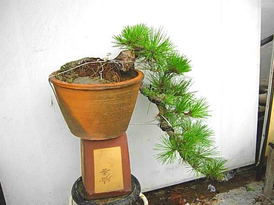 DSCN6211.JPG