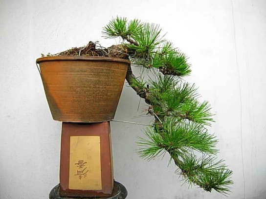 DSCN6210.JPG