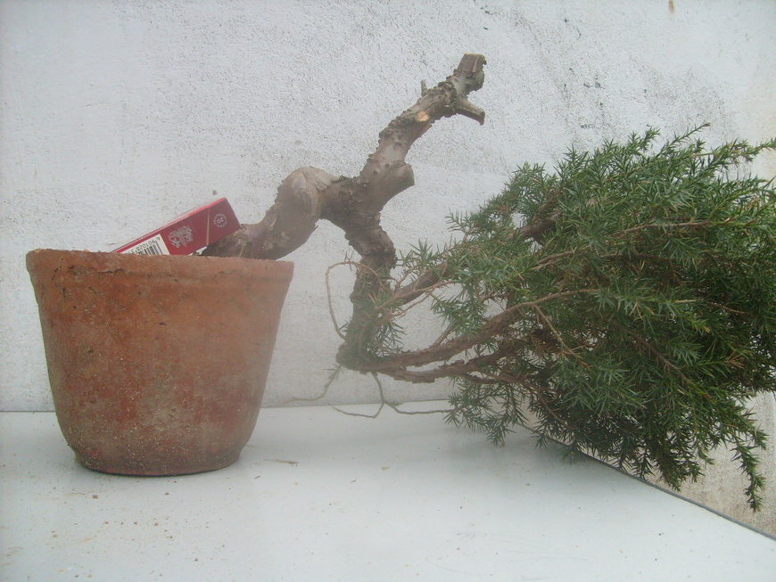 S7300566.JPG