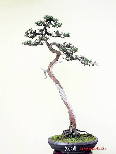 DSCN8747.JPG