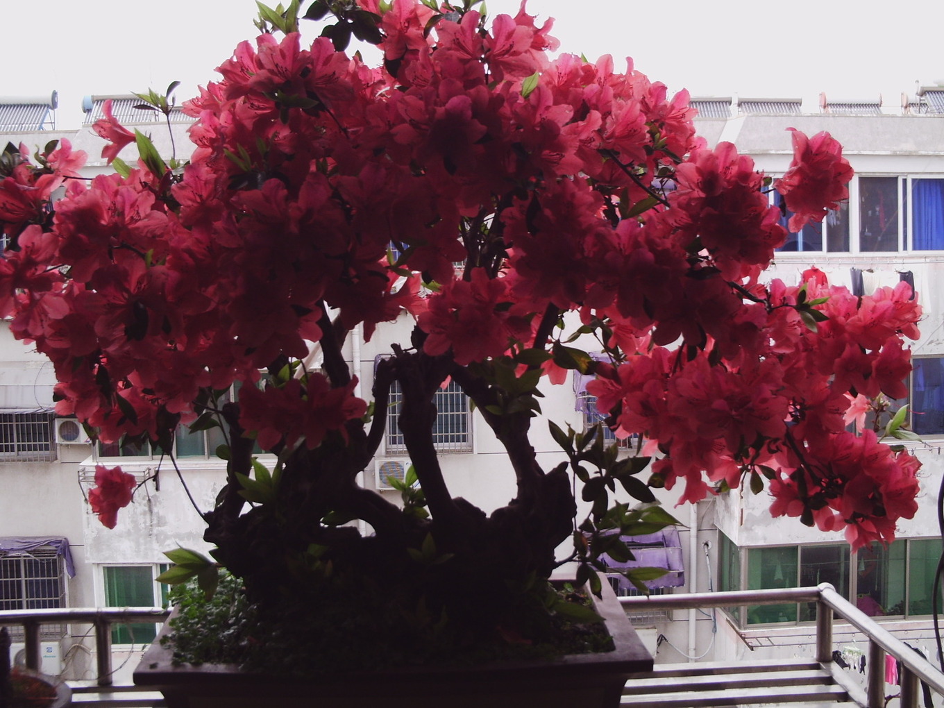 PHOT0043.JPG
