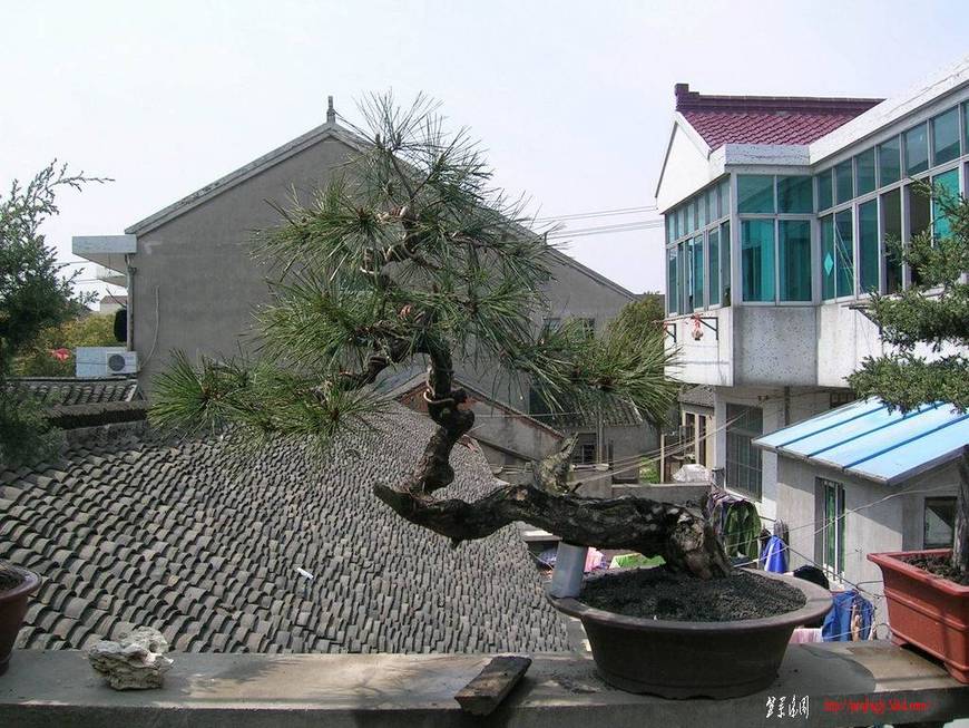 С DSCN8660.JPG