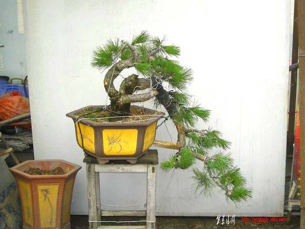 DSCN3494.JPG