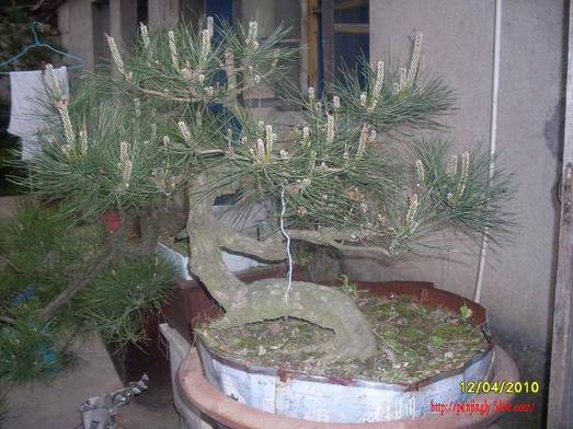 SDC11102.JPG