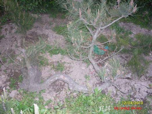 SDC11116.JPG