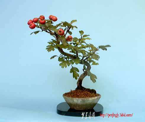 m22.jpg