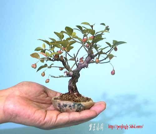 m21.jpg