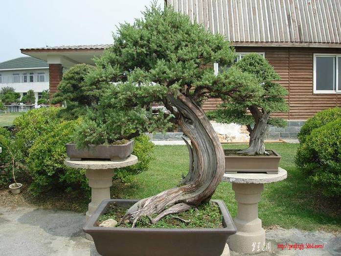 Ƭ 037.JPG