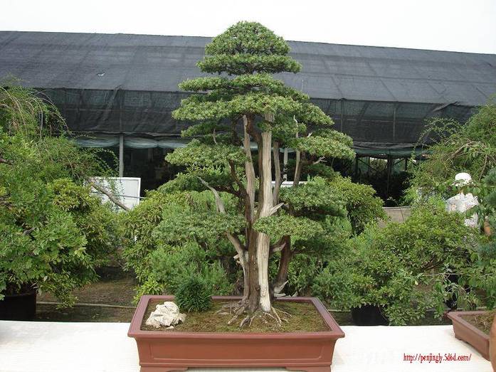 Ƭ 004.JPG
