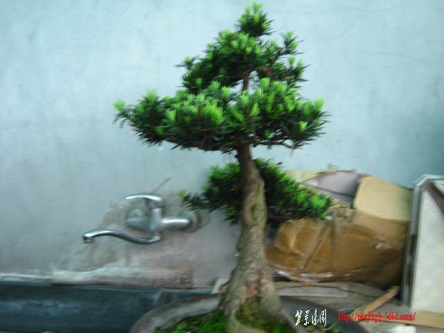 IMG_2656.JPG
