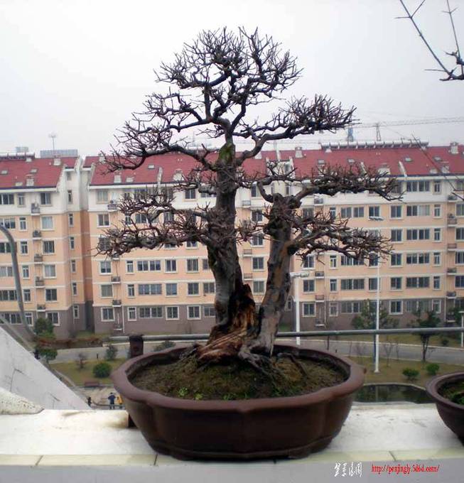 DSCN1116.JPG