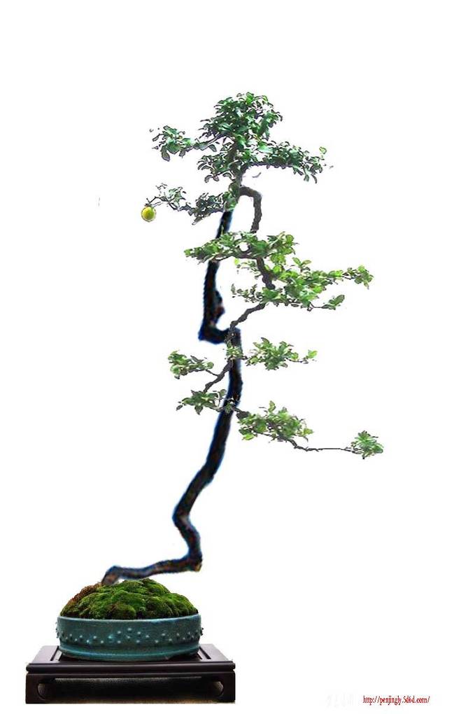 6073Сǳ走֦˼ͼ20100510.jpg