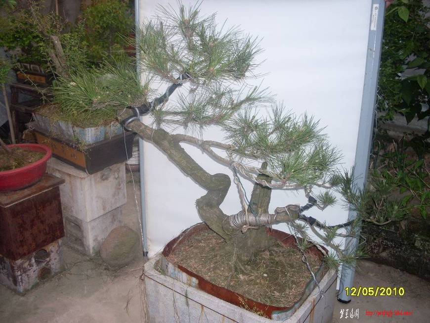 SDC11334.JPG