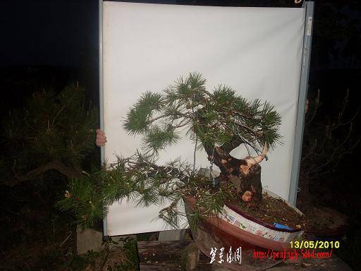 SDC11348.JPG