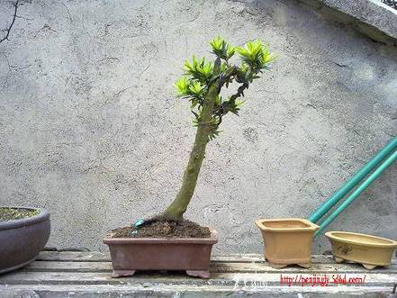 20100516673.jpg
