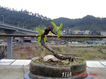 20100516675.jpg