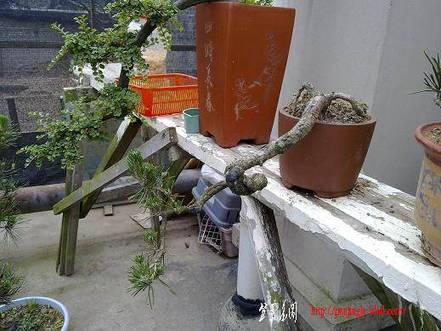 20100516679.jpg