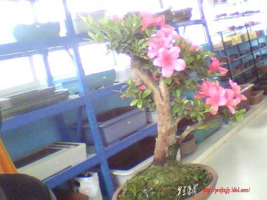 ͼƬ 002.jpg