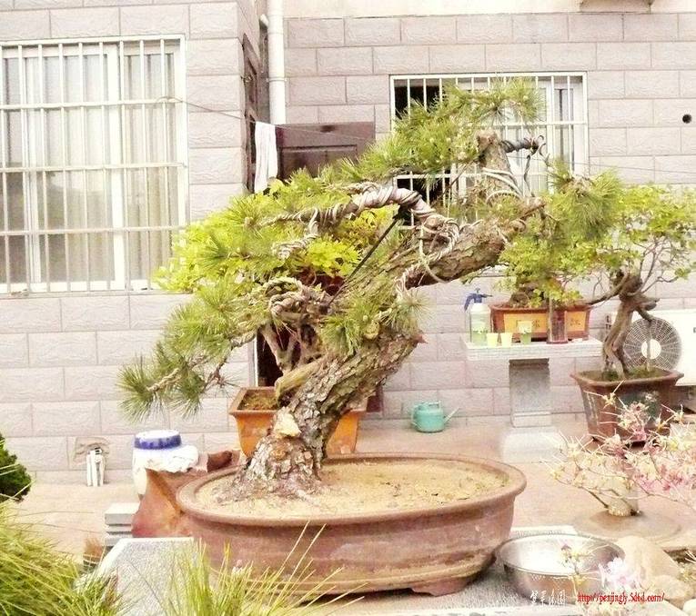 照片 200.jpg