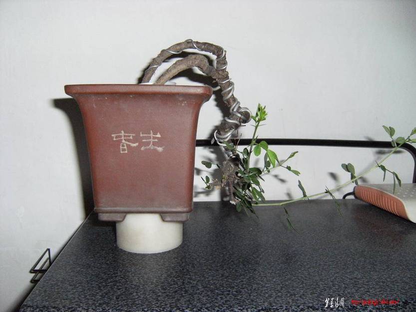 DSCF3091.JPG