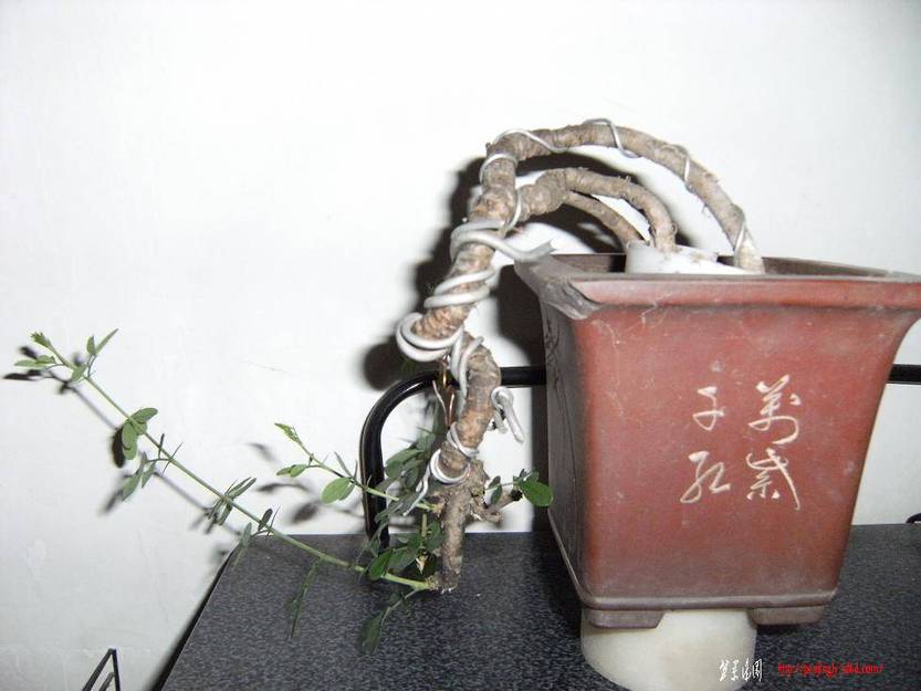 DSCF3094.JPG