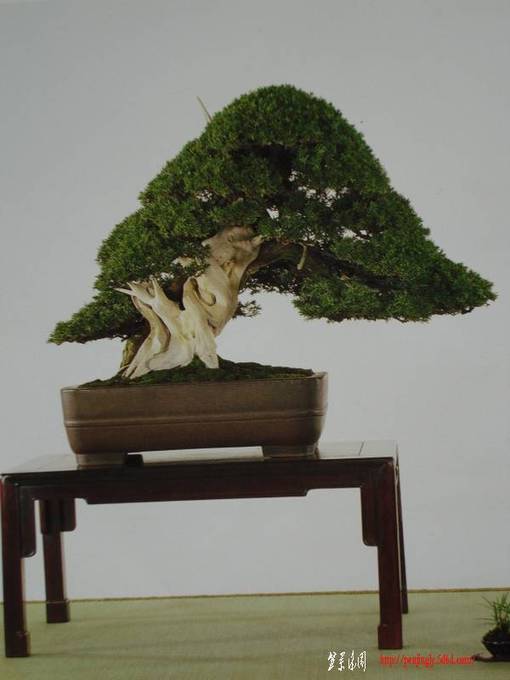 Ƭ 095.jpg